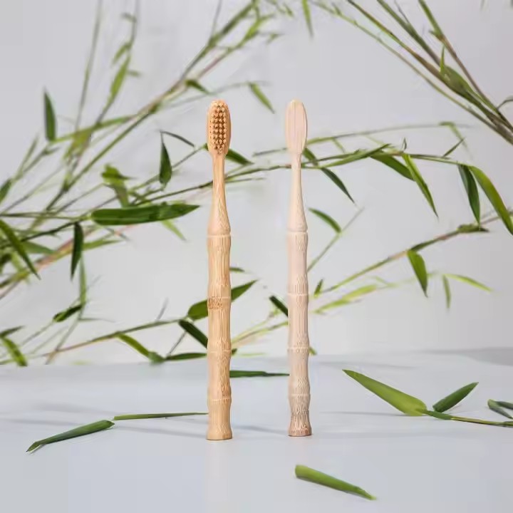 Bàn chải đánh răng bằng tre hình tre